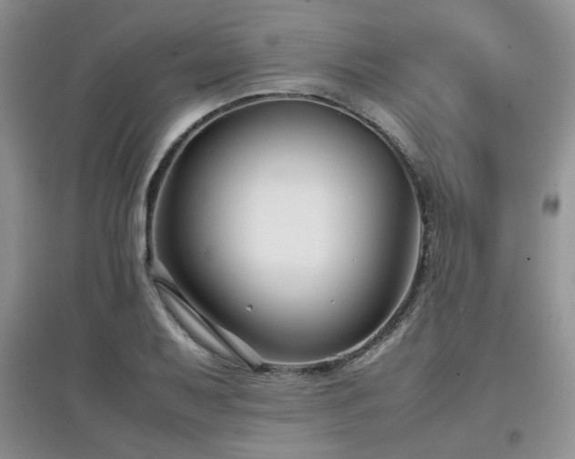 X0000097801079200803141049