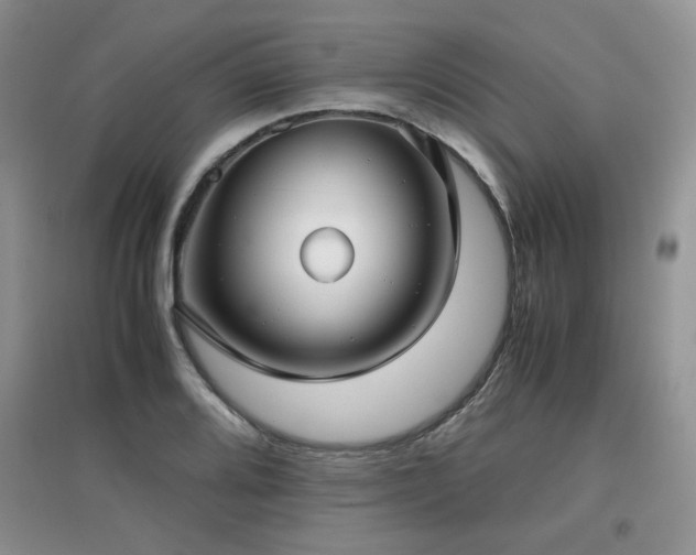 X0000097801080200803141048