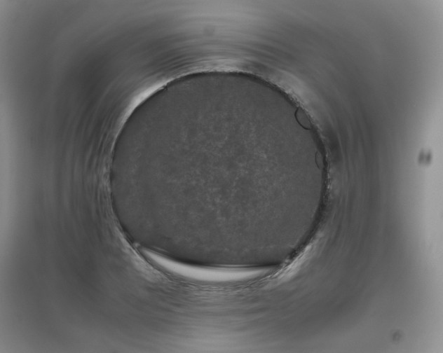 X0000097801081200803141048