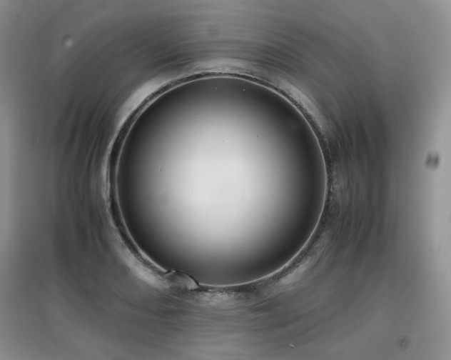 X0000097801082200803141048