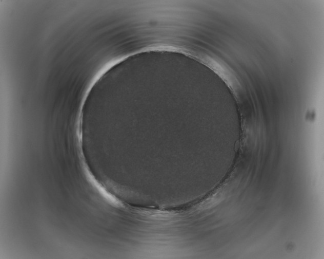 X0000097801084200803141048