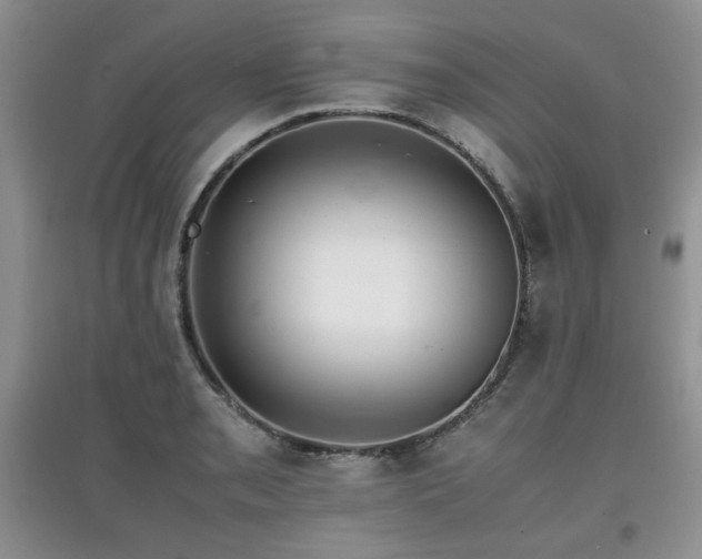 X0000097801085200803141048