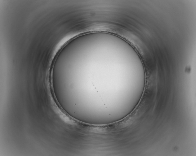 X0000097801086200803141048