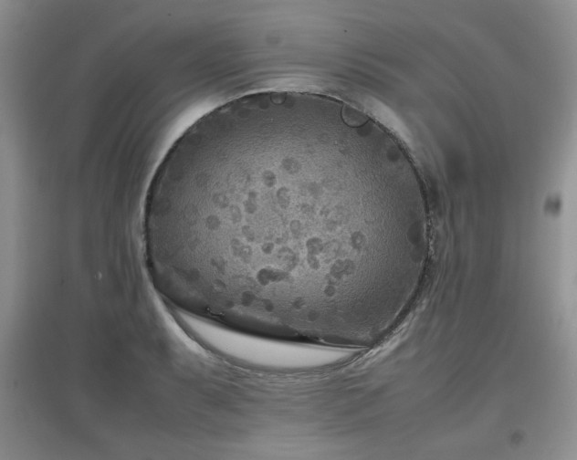 X0000097801087200803141048