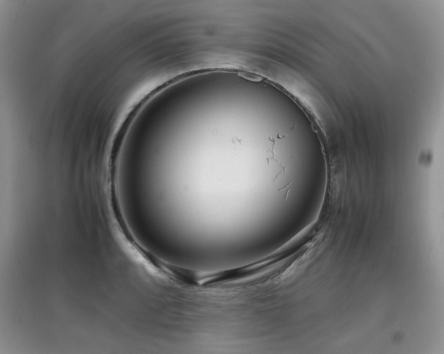 X0000097801088200803141048