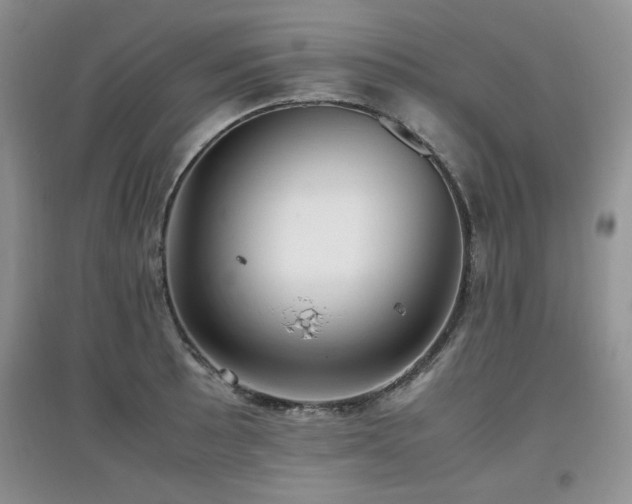 X0000097801089200803141048