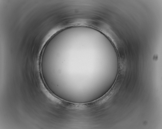 X0000097801090200803141048