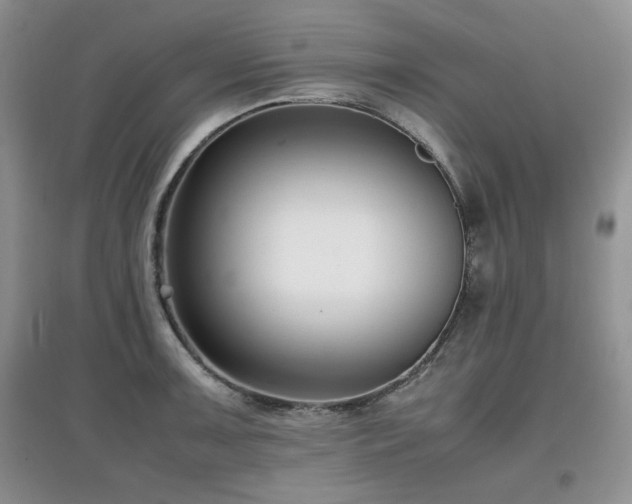 X0000097801091200803141048