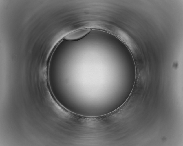 X0000097801092200803141048