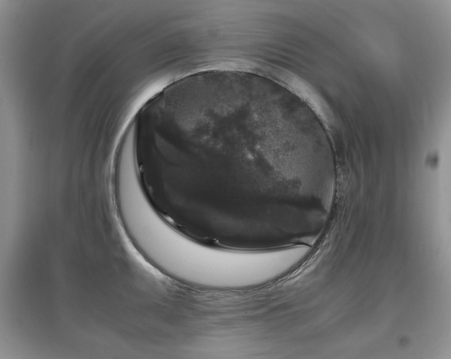 X0000097801095200803141048