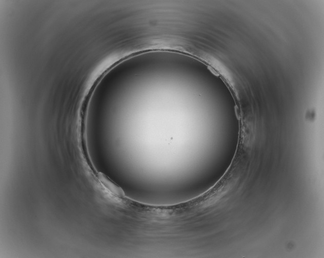 X0000097801096200803141048