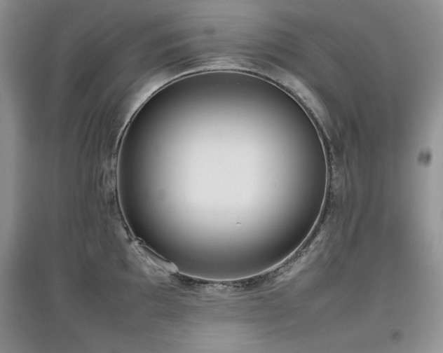 X0000097801097200803141048