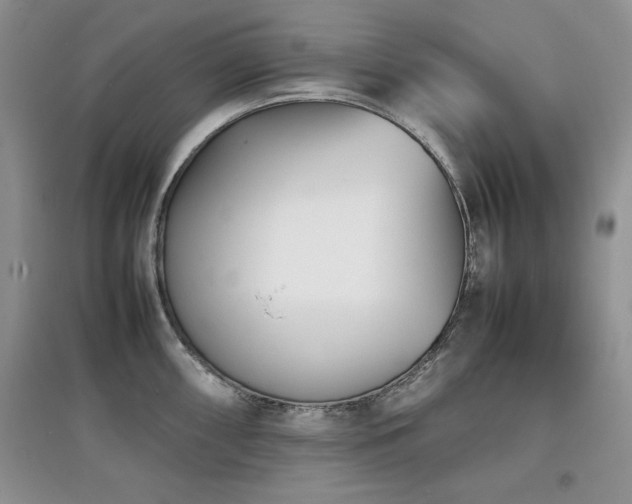 X0000097801098200803141048