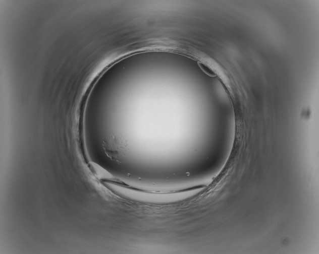 X0000097801099200803141048