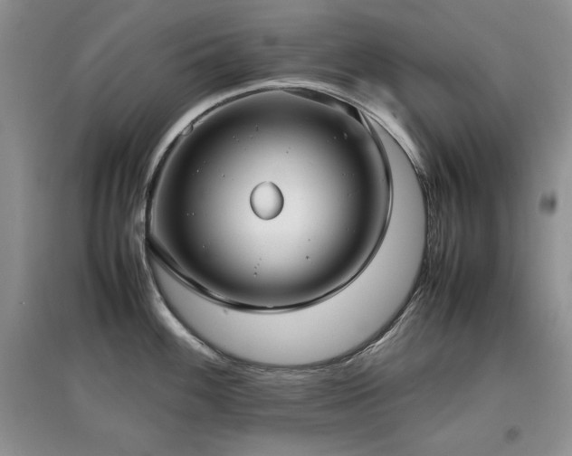 X0000097801100200803141048