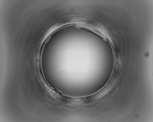 X0000097801101200803141048