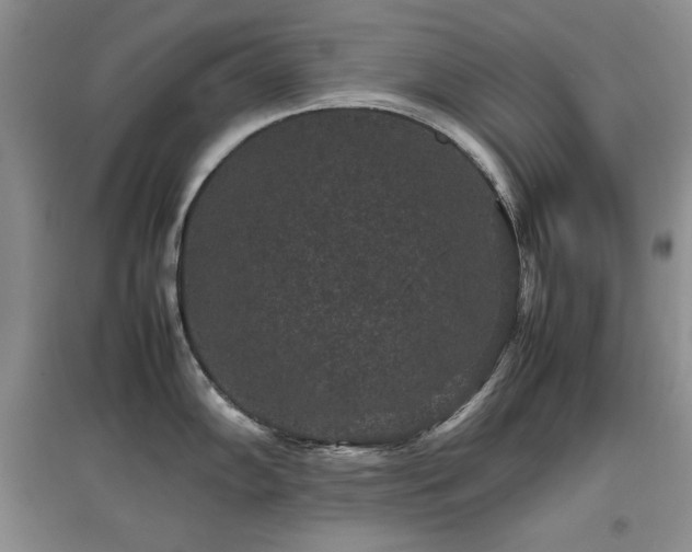 X0000097801102200803141048