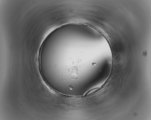 X0000097801103200803141048