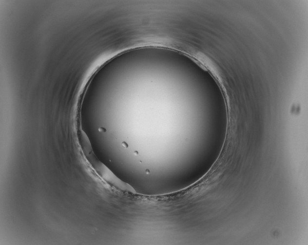 X0000097801104200803141048