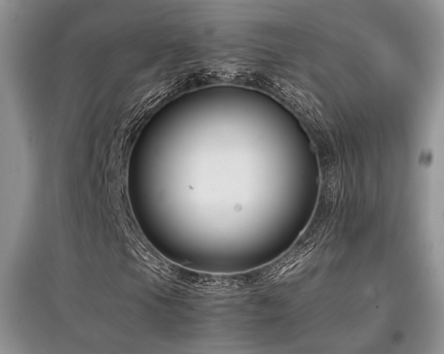 X0000097801105200803141047