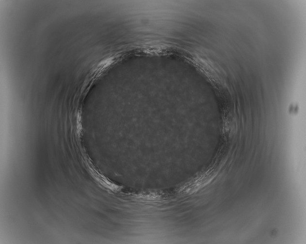 X0000097801106200803141047