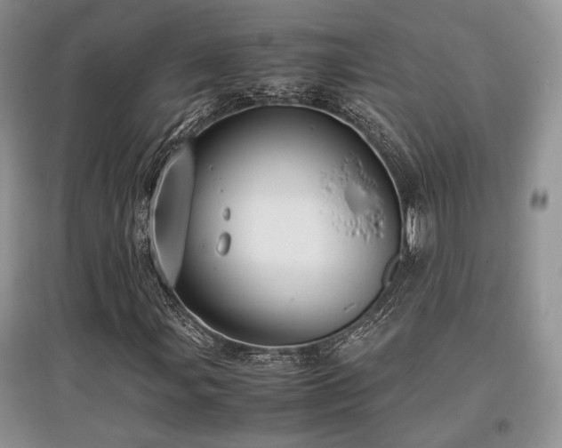 X0000097801107200803141047