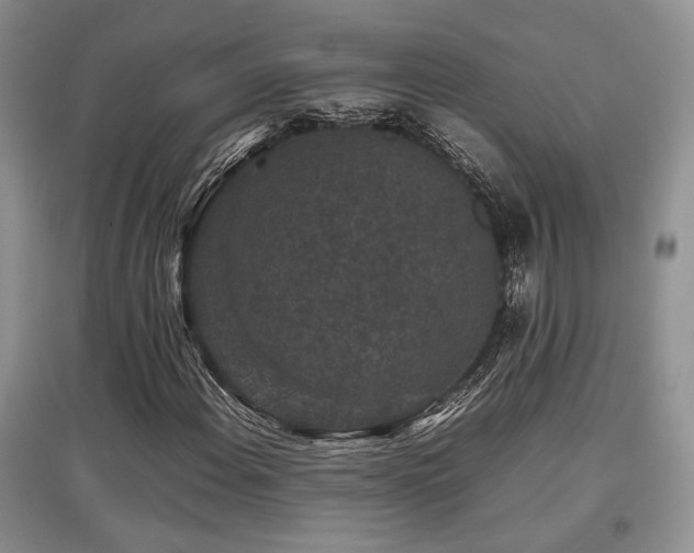 X0000097801108200803141047