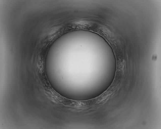 X0000097801109200803141047