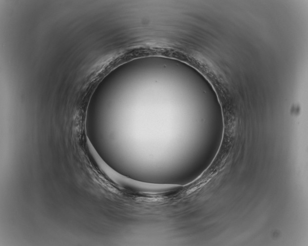 X0000097801110200803141047
