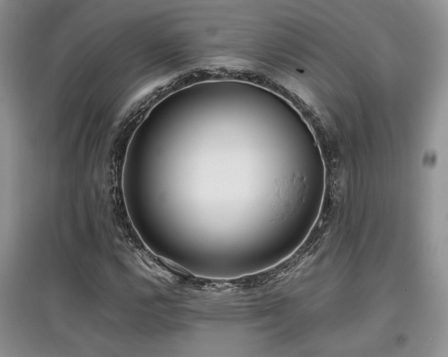 X0000097801112200803141047