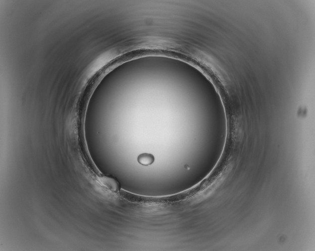 X0000097801114200803141047