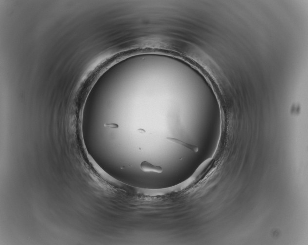 X0000097801115200803141047