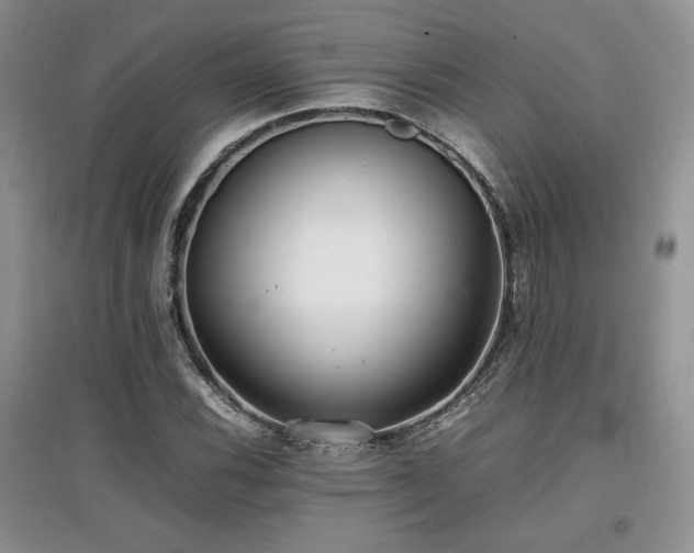 X0000097801116200803141047