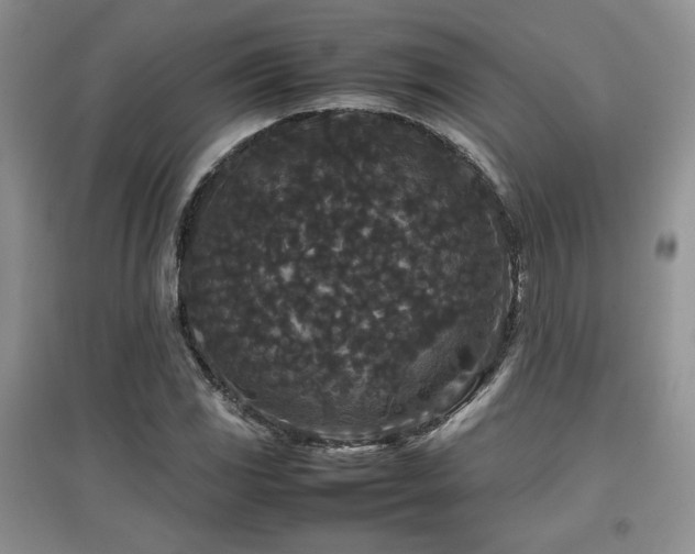 X0000097801117200803141048