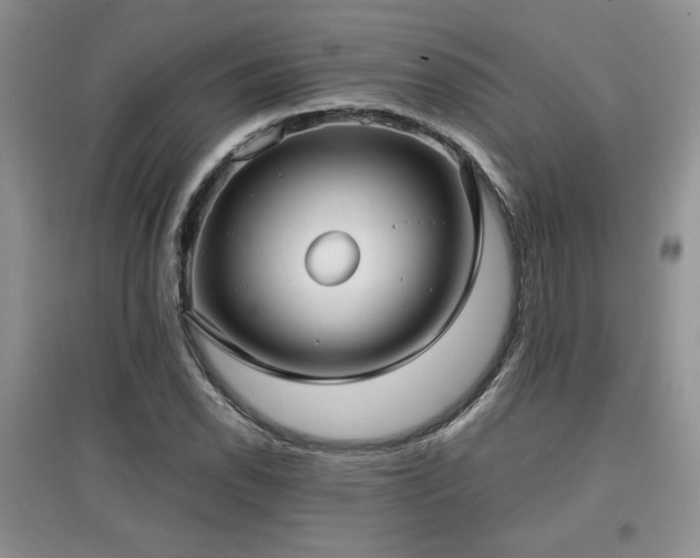 X0000097801118200803141048