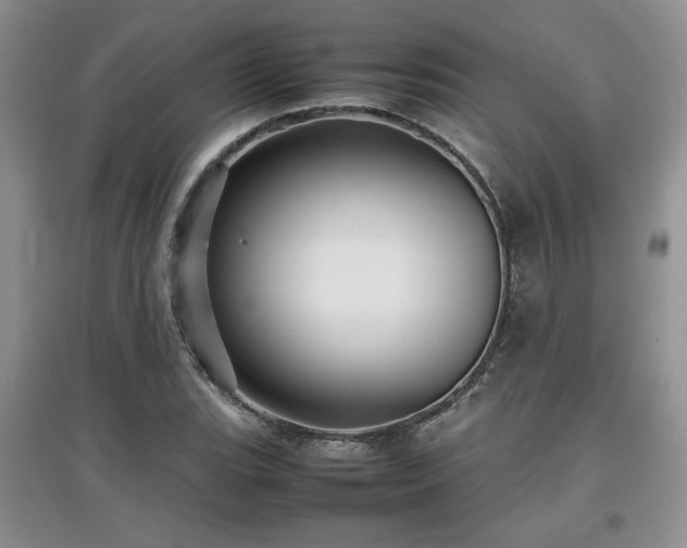 X0000097801119200803141048