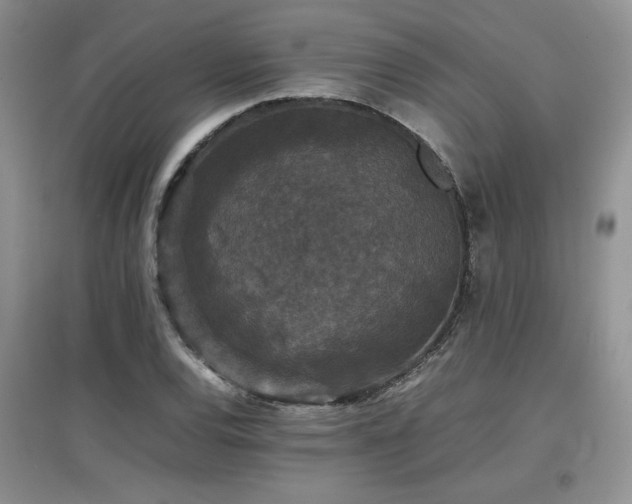 X0000097801120200803141048