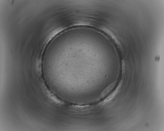 X0000097801121200803141048