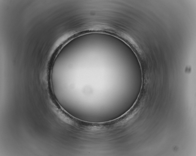 X0000097801122200803141048