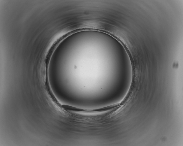 X0000097801123200803141048