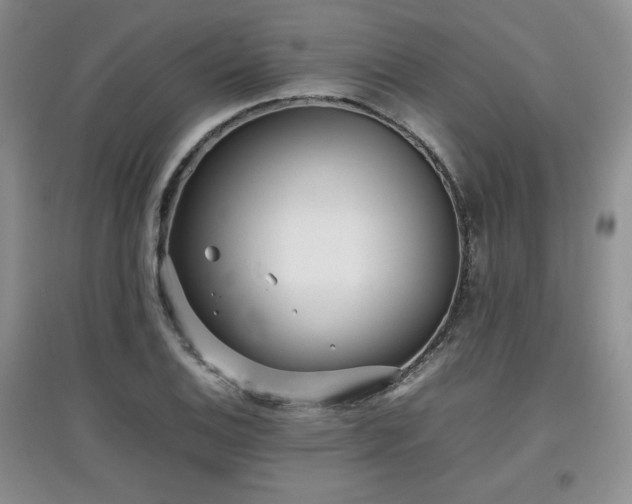 X0000097801124200803141048