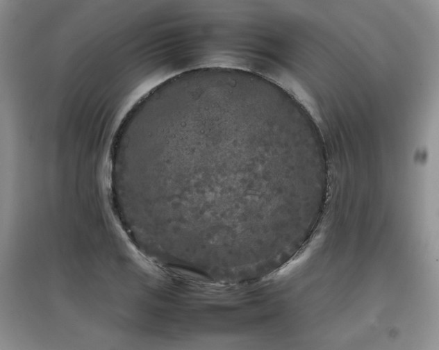 X0000097801125200803141048