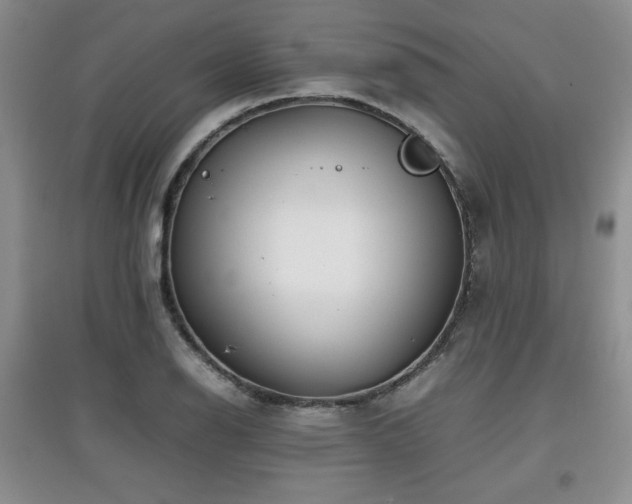 X0000097801126200803141048