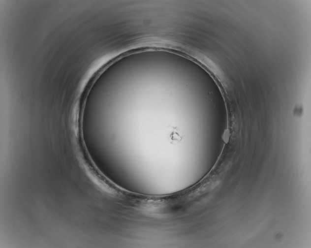 X0000097801128200803141048