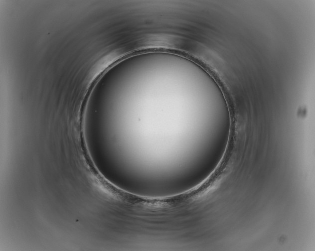 X0000097801129200803141048