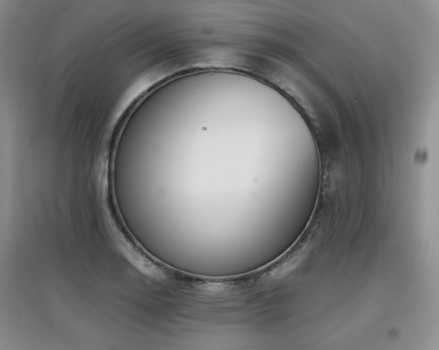 X0000097801130200803141048