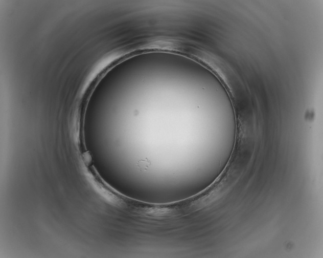 X0000097801131200803141048