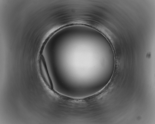 X0000097801133200803141048