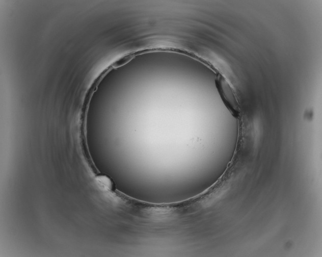 X0000097801134200803141048