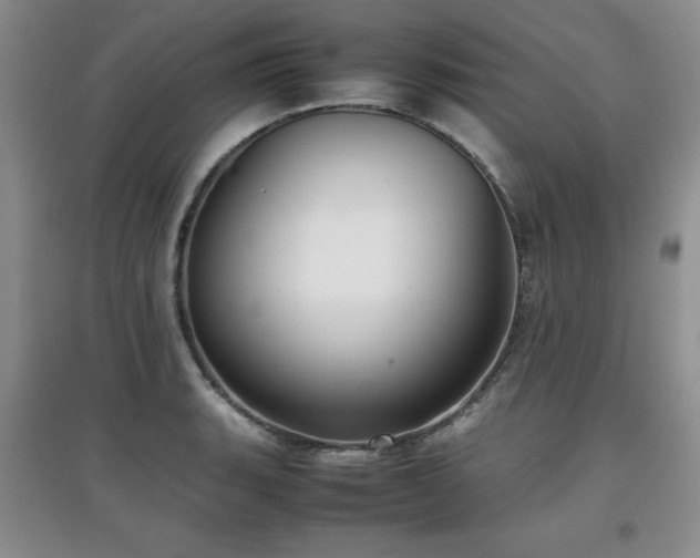 X0000097801135200803141048